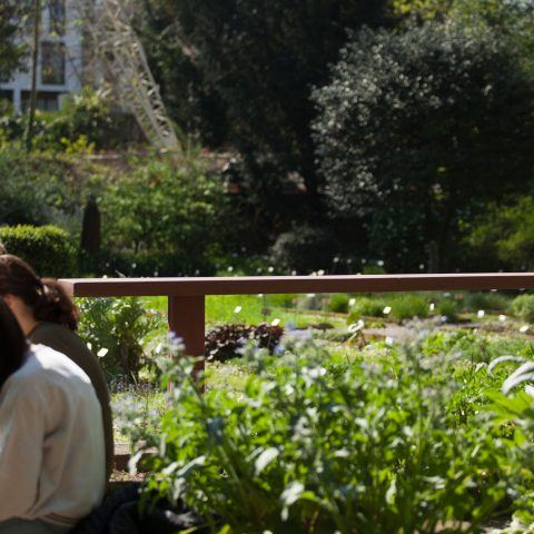 Pigmenti open-air | <strong>PIGMENTI OPEN-AIR</strong> | venue <strong>Orto Botanico di Brera, Milano, Italia</strong> | project <strong>Marco Merendi & Diego Vencato</strong> | ph © <strong>Federico Ferramola</strong>