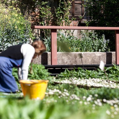 Pigmenti open-air | <strong>PIGMENTI OPEN-AIR</strong> | luogo <strong>Orto Botanico di Brera, Milano, Italia</strong> | progetto <strong>Marco Merendi & Diego Vencato</strong> | ph © <strong>Federico Ferramola</strong>